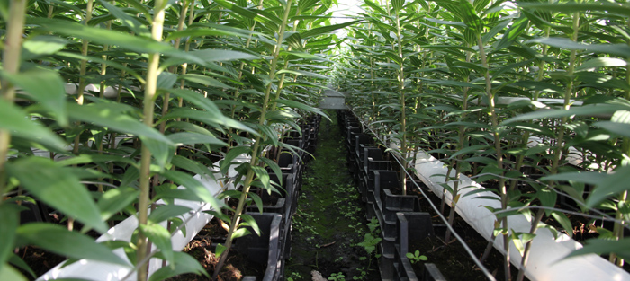 Надежность